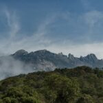 green trees on mountain under white clouds during daytime